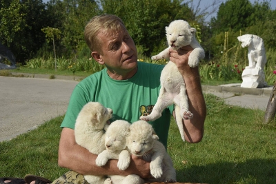 сафари, Крым