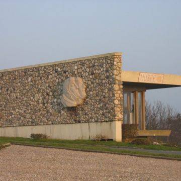 2020110222012425742.jpg